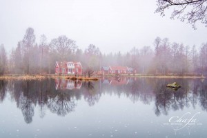 mist